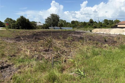 Land in Lehigh Acres, Florida № 2236488 - photo 5