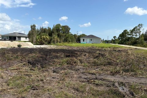 Land in Lehigh Acres, Florida № 2236488 - photo 3