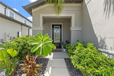 Villa ou maison à louer à Tampa, Floride: 4 chambres, 246.38 m2 № 2387554 - photo 5