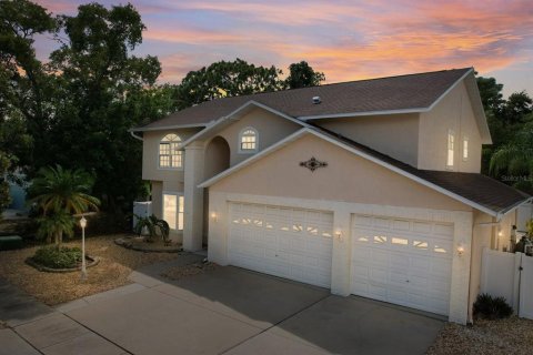 House in Palm Harbor, Florida 5 bedrooms, 303.51 sq.m. № 1843333 - photo 1