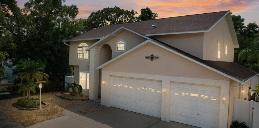 House in Palm Harbor, Florida 5 bedrooms, 303.51 sq.m. № 1843333
