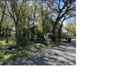 Land in Tampa, Florida № 1551696 - photo 1