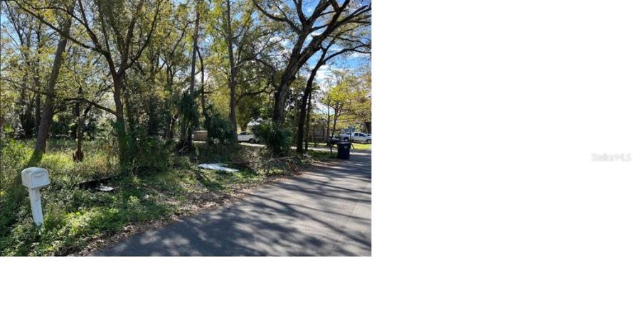 Land in Tampa, Florida № 1551696