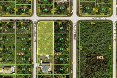 Land in Port Charlotte, Florida № 1893655 - photo 3
