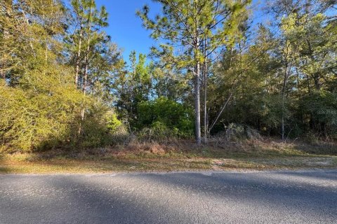 Land in Citrus Springs, Florida № 2165087