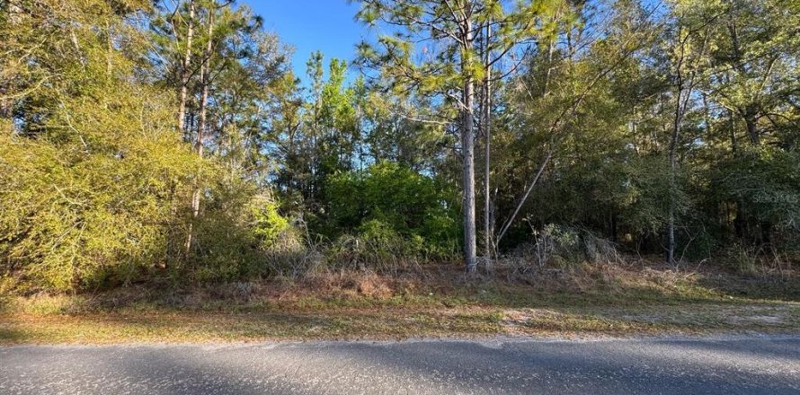Land in Citrus Springs, Florida № 2165087