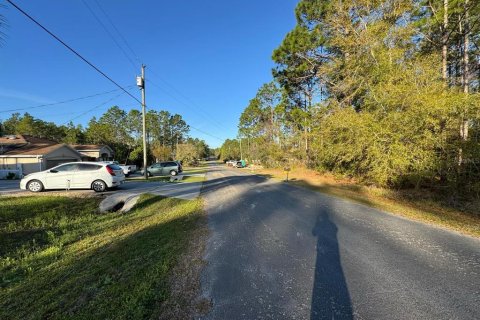 Land in Citrus Springs, Florida № 2165087 - photo 2