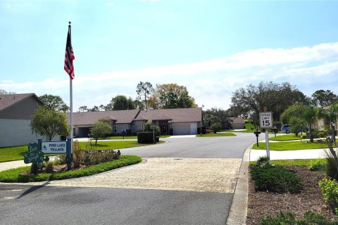 Villa ou maison à vendre à Spring Hill, Floride: 2 chambres, 165.46 m2 № 1592124 - photo 23