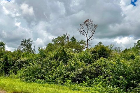 Land in North Port, Florida № 2162391 - photo 4