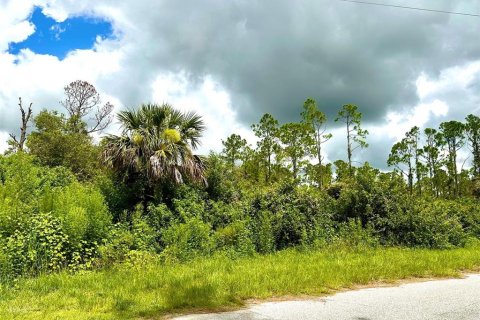 Land in North Port, Florida № 2162391 - photo 3