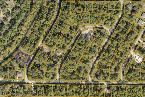 Land in North Port, Florida № 2162391 - photo 2
