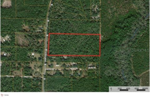 Land in Hawthorne, Florida № 1887082 - photo 2