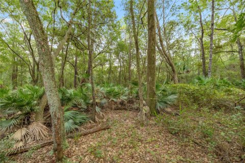 Land in Hawthorne, Florida № 1887082 - photo 10