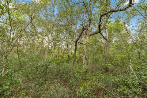 Land in Hawthorne, Florida № 1887082 - photo 11