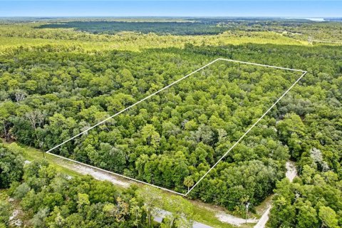 Land in Hawthorne, Florida № 1887082 - photo 1