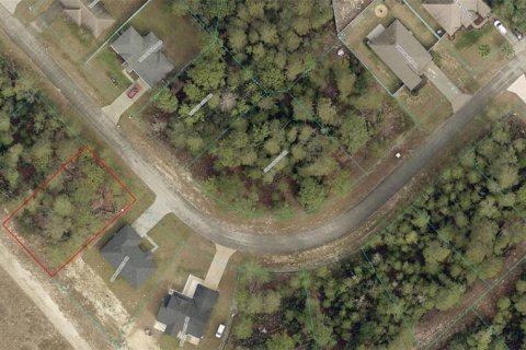 Land in Ocala, Florida № 2160569