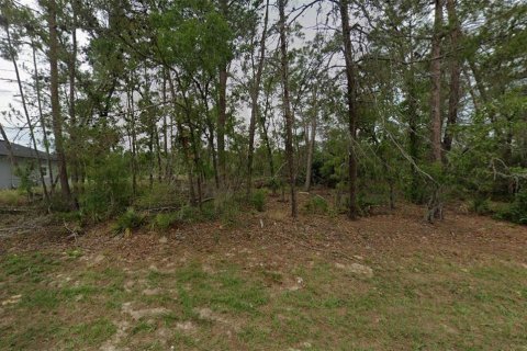 Land in Ocala, Florida № 2160569 - photo 2