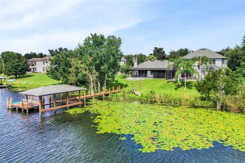Villa ou maison à vendre à Windermere, Floride: 5 chambres, 383.69 m2 № 1913726 - photo 11