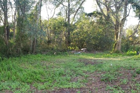 Land in Apopka, Florida № 2364850