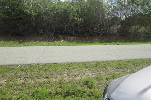 Land in Port Charlotte, Florida № 2212860