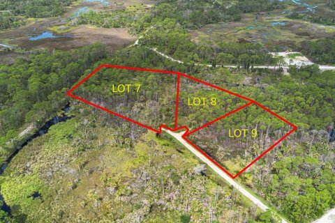 Land in Cedar Key, Florida № 2233571 - photo 3