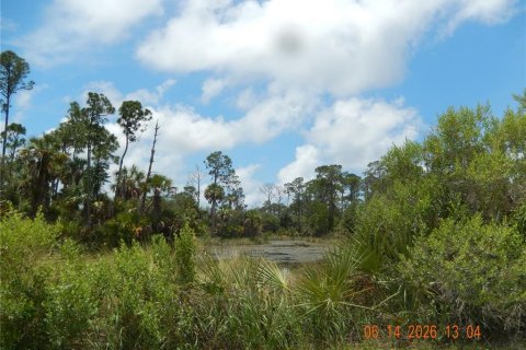 Land in Cedar Key, Florida № 2233571 - photo 8