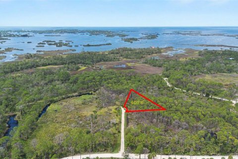 Land in Cedar Key, Florida № 2233571 - photo 4