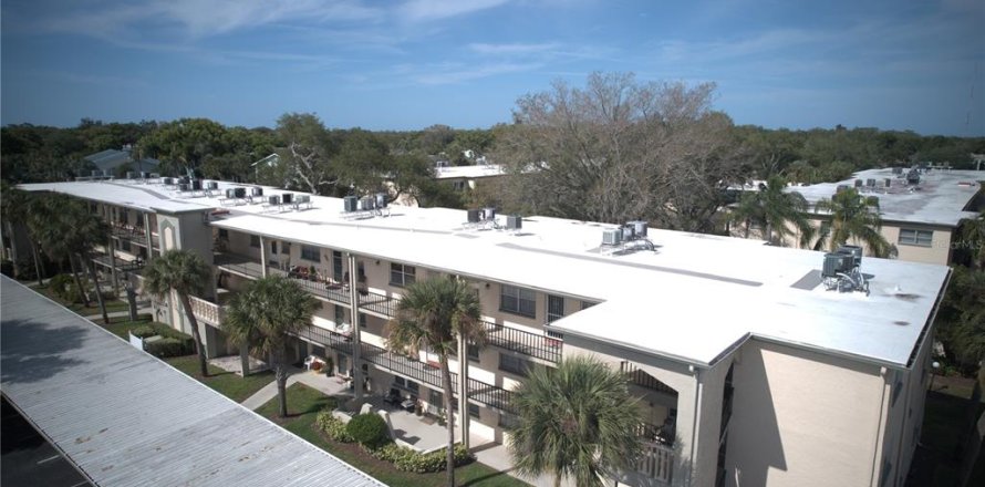 Condo in Seminole, Florida, 1 bedroom № 1761136