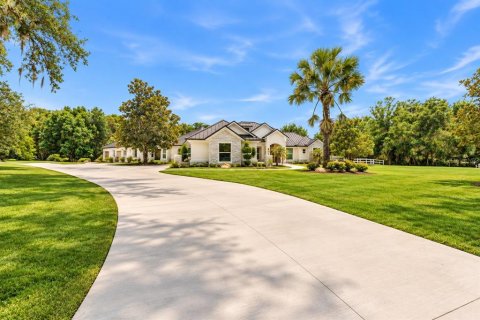 House in Odessa, Florida 5 bedrooms, 411.65 sq.m. № 2431094 - photo 4