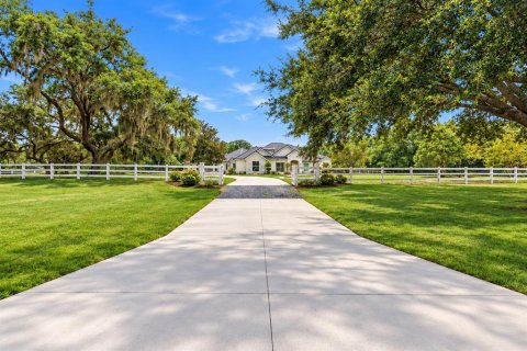 House in Odessa, Florida 5 bedrooms, 411.65 sq.m. № 2431094 - photo 3