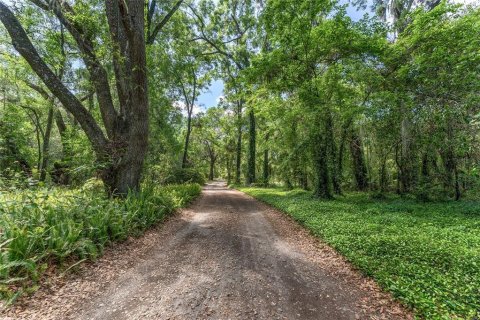 Terreno en venta en Ocala, Florida № 1647918 - foto 9