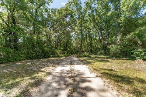 Terreno en venta en Ocala, Florida № 1647918 - foto 6