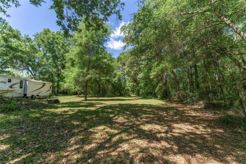 Land in Ocala, Florida № 1647918 - photo 20