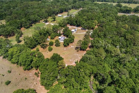 Land in Ocala, Florida № 1647918 - photo 14