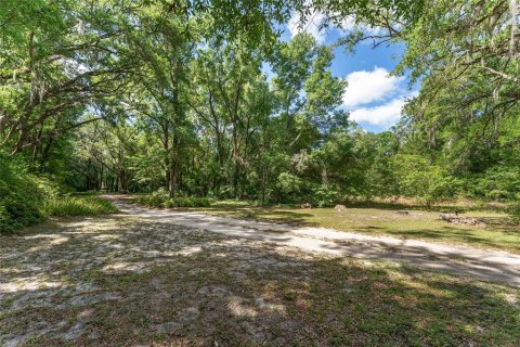 Terreno en venta en Ocala, Florida № 1647918 - foto 7
