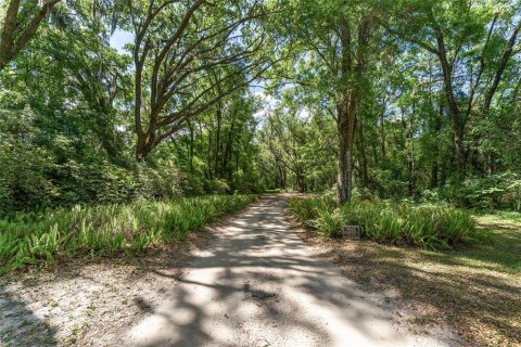 Terreno en venta en Ocala, Florida № 1647918 - foto 8