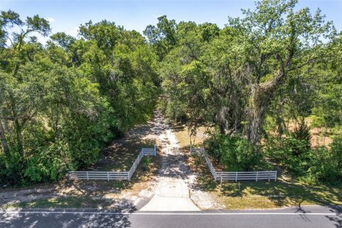 Terreno en venta en Ocala, Florida № 1647918 - foto 4