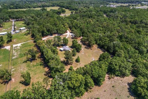 Land in Ocala, Florida № 1647918 - photo 13