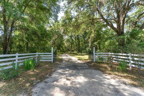 Terreno en venta en Ocala, Florida № 1647918 - foto 5
