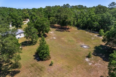 Land in Ocala, Florida № 1647918 - photo 11