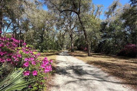 Terreno en venta en Ocala, Florida № 1647918 - foto 3