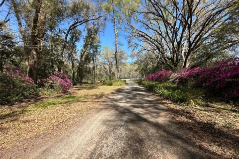 Terreno en venta en Ocala, Florida № 1647918 - foto 2