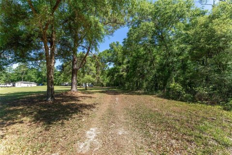 Land in Ocala, Florida № 1647918 - photo 24