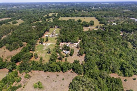 Land in Ocala, Florida № 1647918 - photo 19