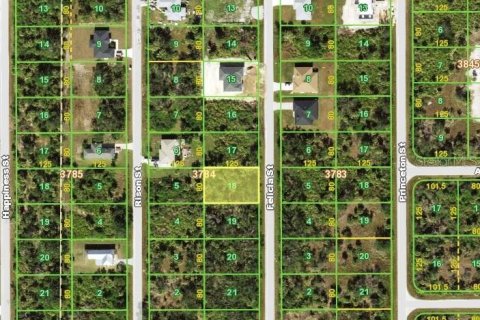 Land in Port Charlotte, Florida № 2379824 - photo 4