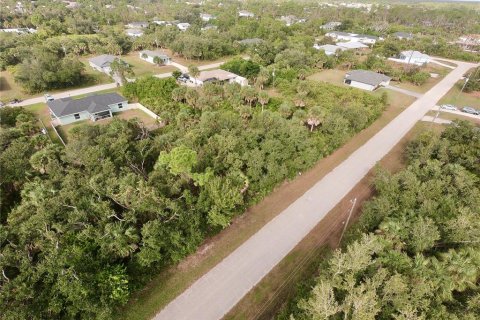Land in Port Charlotte, Florida № 2379824 - photo 5