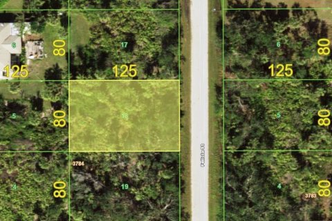 Land in Port Charlotte, Florida № 2379824 - photo 2