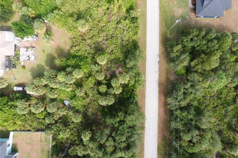 Land in Port Charlotte, Florida № 2379824 - photo 3