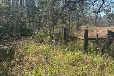 Terreno en venta en Groveland, Florida № 302303 - foto 6