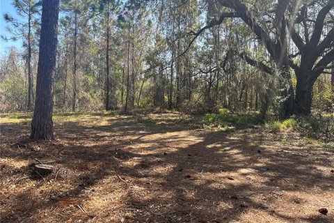 Terreno en venta en Groveland, Florida № 302303 - foto 9